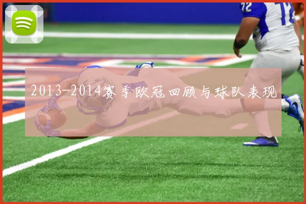 2013-2014赛季欧冠回顾与球队表现
