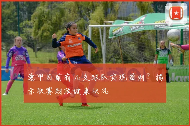 意甲目前有几支球队实现盈利？揭示联赛财政健康状况