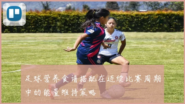 足球营养食谱搭配在连续比赛周期中的能量维持策略