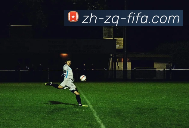 世界杯赛程平台生态图