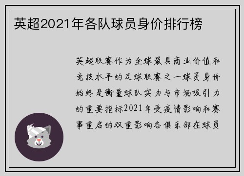 英超2021年各队球员身价排行榜